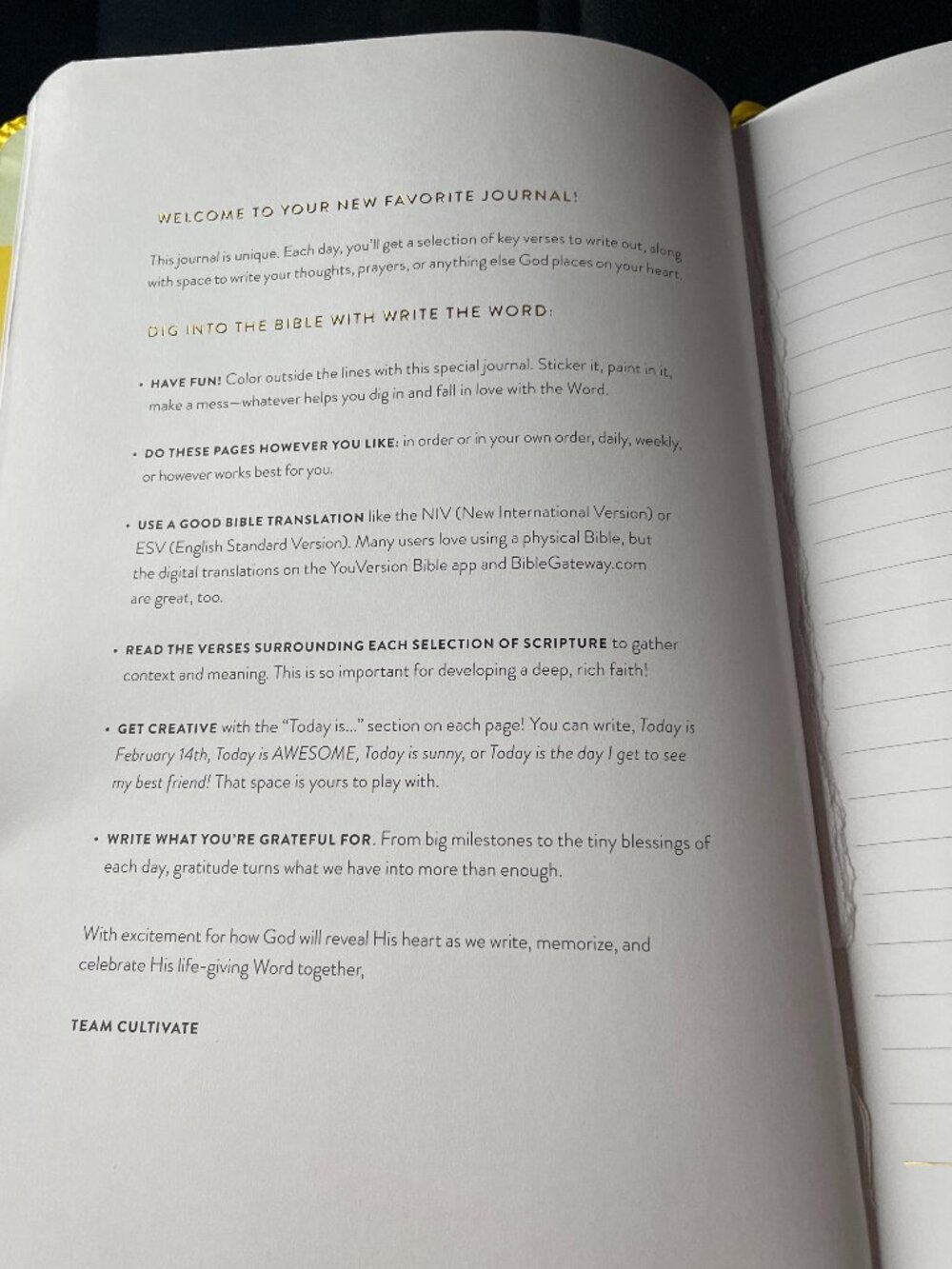 Write the Word Journal - Picture 14 of 15